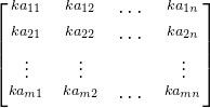 \begin{bmatrix} ^{ka_{11}}&^{ka_{12}} &\cdots &^{ka_{1n}}\\ ^{ka_{21}}& ^{ka_{22}} & \cdots &^{ka_{2n}}\\ \vdots& \vdots & & \vdots\\ ^{ka_{m1}}& ^{ka_{m2}} &\cdots &^{ka_{mn}} \end{bmatrix}