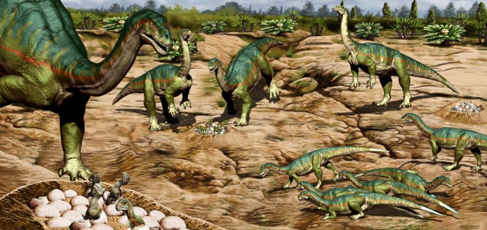 2Mussaurus-patagonicus-Dinosaur-Nesting-Site-2048x967.jpg
