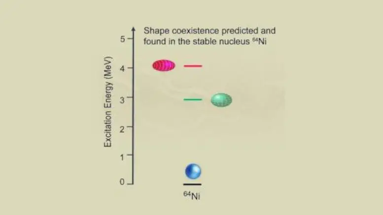 Ni-64-Nucleus-Energy-State.webp